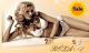 Roza lingerie