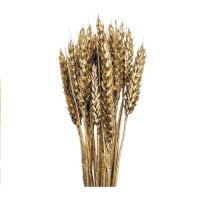 WHEAT DECORATIVE FLOWER GOLD 50cm