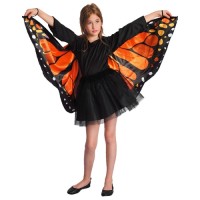 Girls party costume butterfly