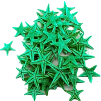 Πράσινοι Φυσικοί Αστερίες 1-2εκ  100 τεμ