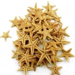 Natural Starfish 1-2cm 100pcs