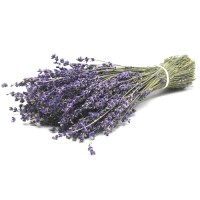 LAVENDER DRY FLOWER 20cm